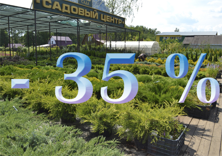 35 - последние осенние скидки в «Империи Сада» до первого снега!